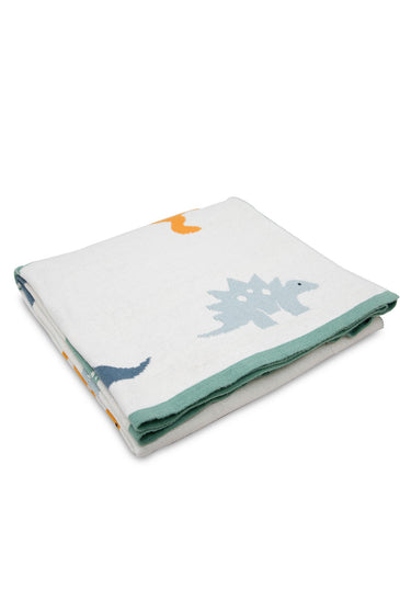 Dinosaur Knitted Baby Blanket