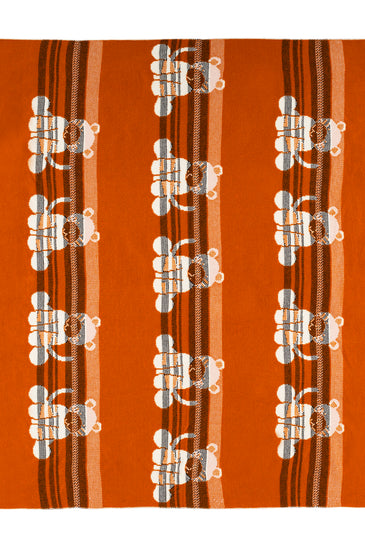 Kids Blanket With Cute Tiger Pattern