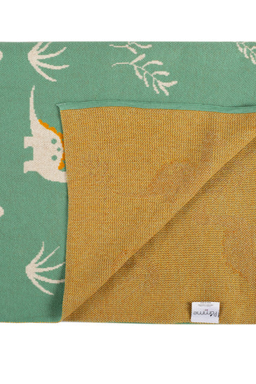 Kids Blanket With Cute Dino Pattern