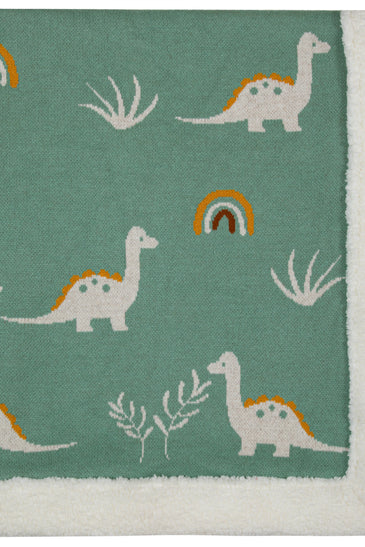 Kids Sherpa Blanket With Cute Dino Pattern