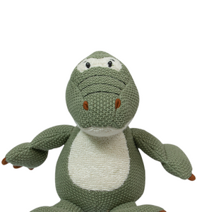 Knitted Soft Green Small Dinosaur