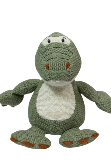 Knitted Soft Green Small Dinosaur