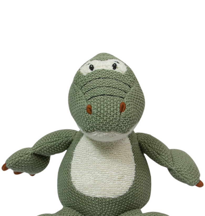 Knitted Soft Green Small Dinosaur